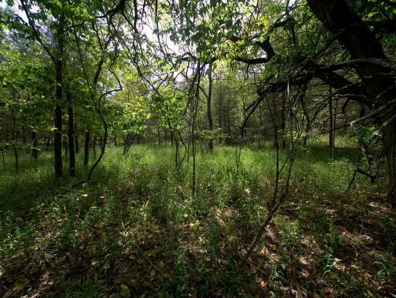 Tract 4 Simpson Rd, Urbana, MO 65767
