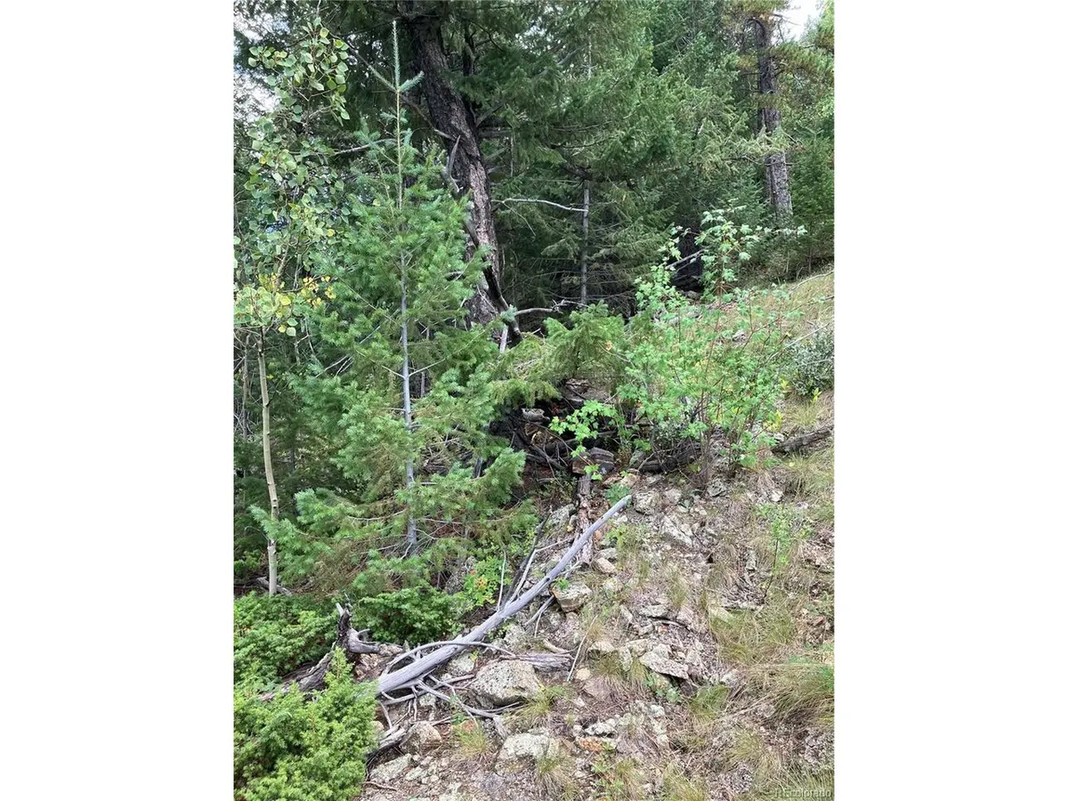 7 Miners, Black Hawk, CO 80422