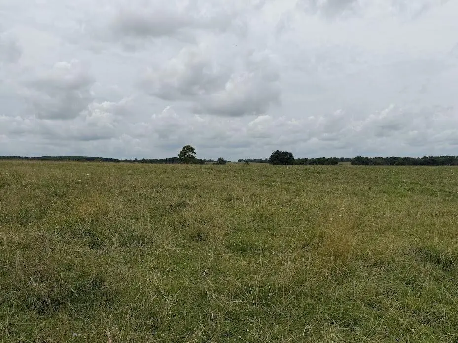 Tract 4 State Route T, Bolivar, MO 65613
