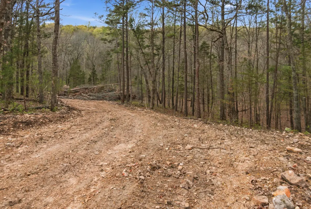 Tract 5 W Highway 32, Licking, MO 65542