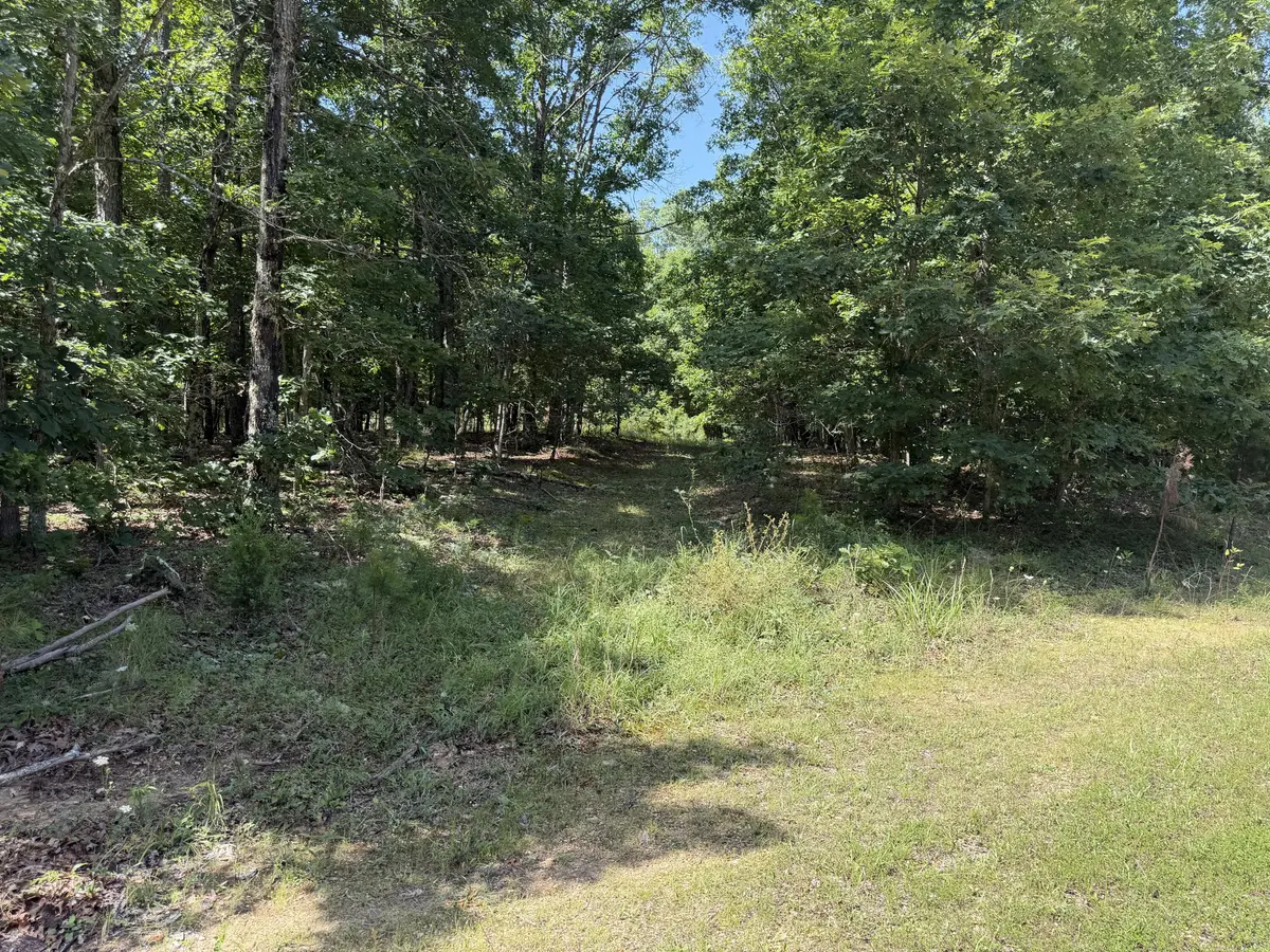 000 Golden TRL #Lot 79, Raymondville, MO 65555