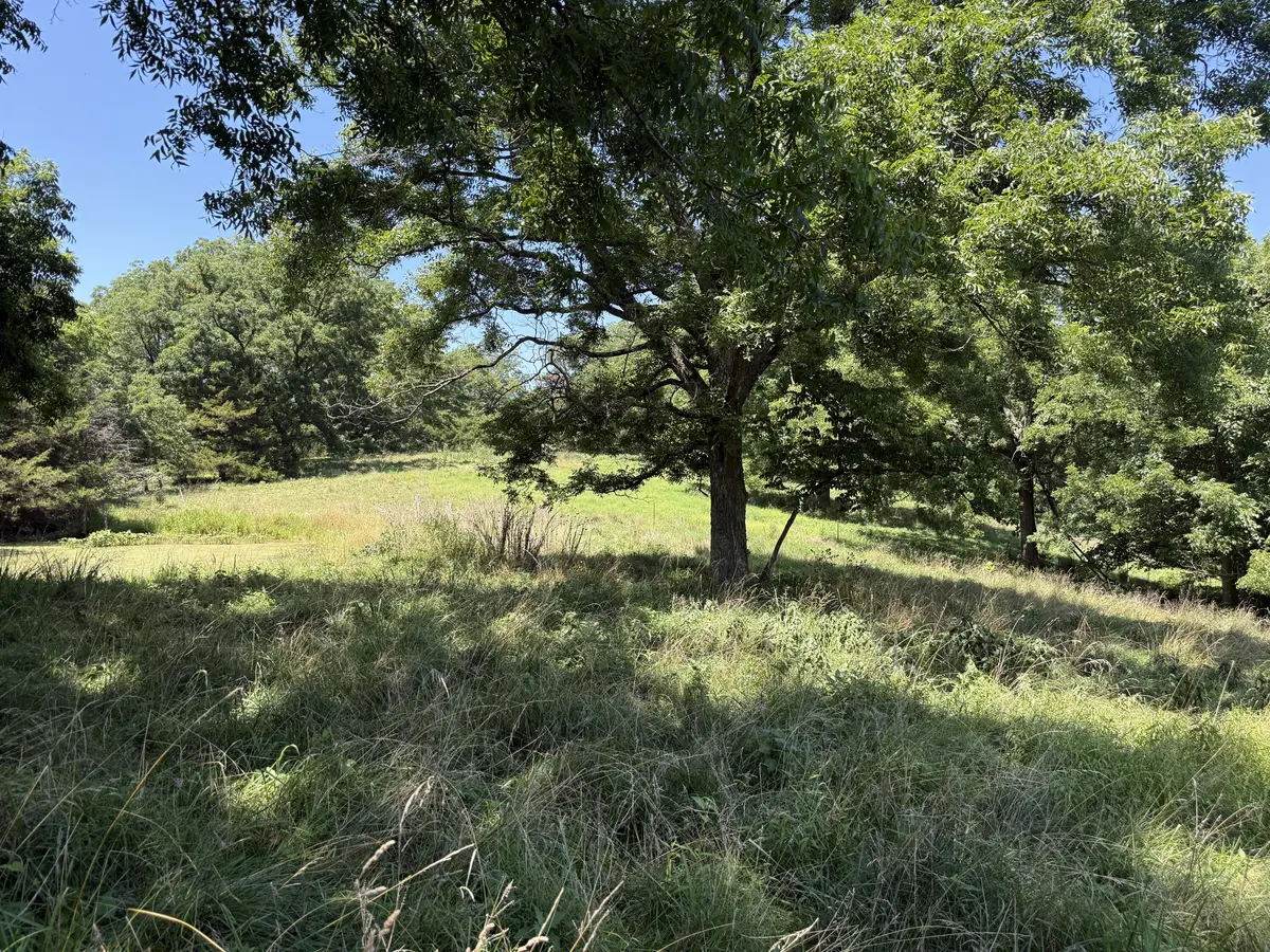5219 Cowan Ridge RD, Powell, MO 65730