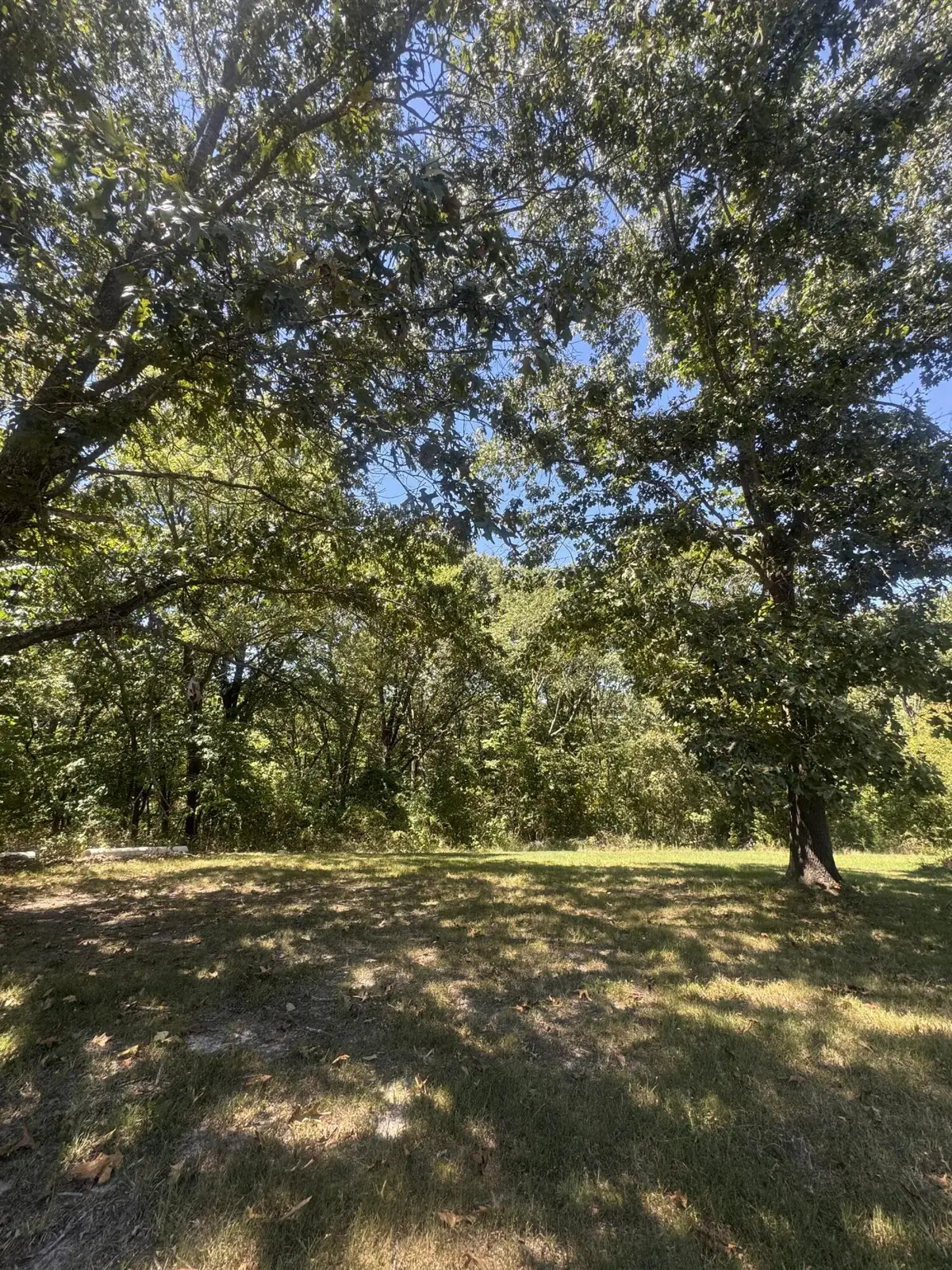 000 Rt 248, Galena, MO 65656