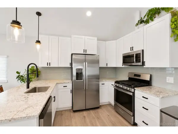 243 S Osceola, Denver, CO 80219