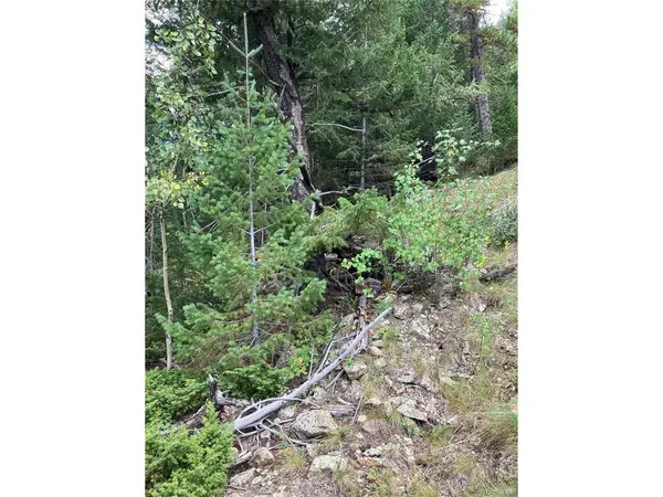 7 Miners, Black Hawk, CO 80422