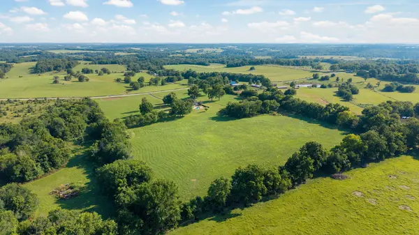 11253 W Farm Road 124, Bois D Arc, MO 65612