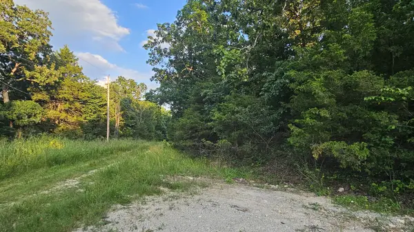 000 Morningview, Merriam Woods, MO 65740