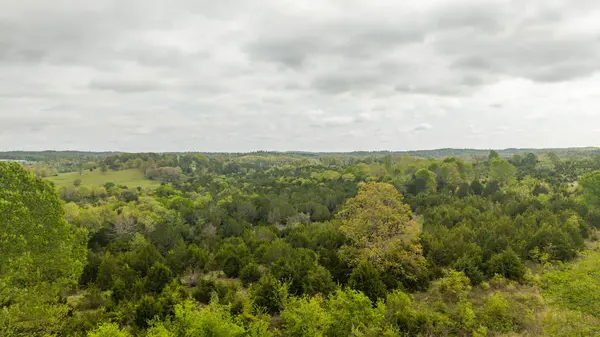 Tract 4 Little Woods RD, Elizabeth, AR 72531