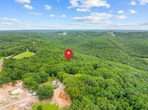 Lot 11 Welkom DR, Branson, MO 65616