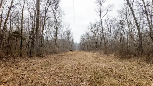 000 County Road 19-A, Alton, MO 65606
