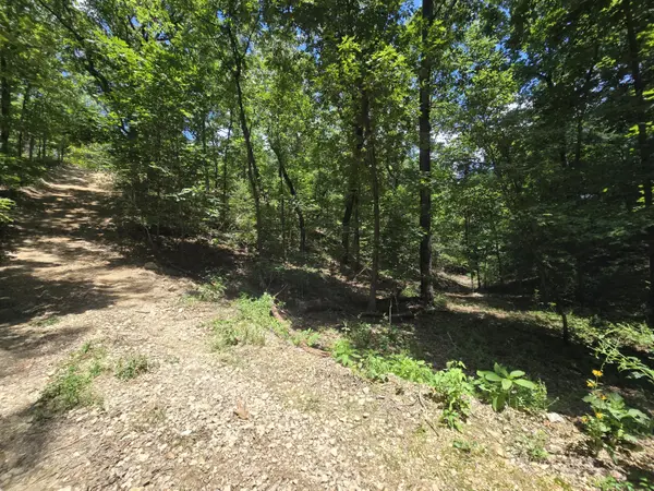 Tract 8 Highway C, Purdy, MO 65734