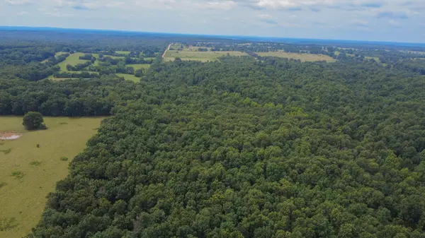 3899 County Road 304, Alton, MO 65606