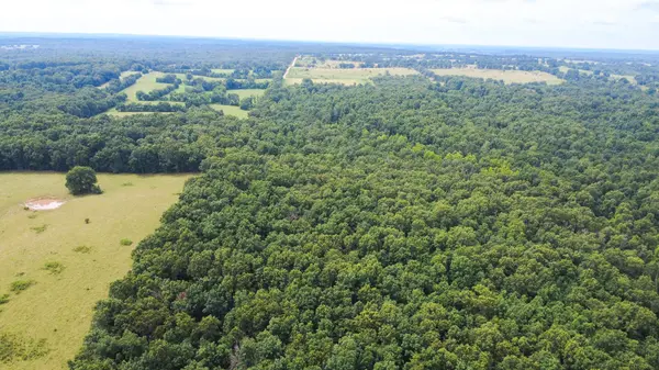 3899 County Road 304, Alton, MO 65606