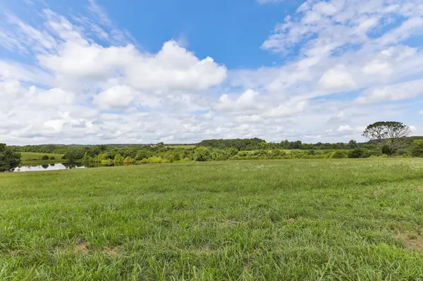 125 Eastgate RD, Elkland, MO 65644