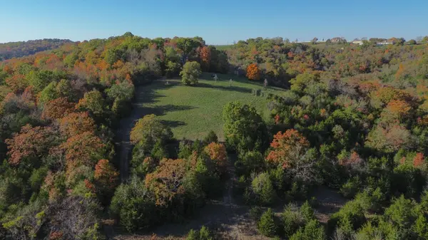 3994 Us Highway 160, Walnut Shade, MO 65771