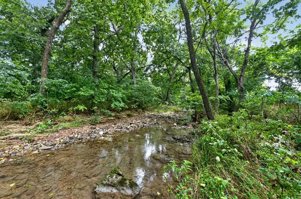 000 N Farm Road 53, Walnut Grove, MO 65770