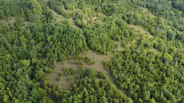 000 Highway 5, Squires, MO 65755