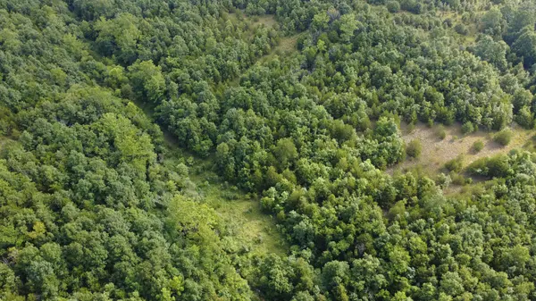 000 Highway 5, Squires, MO 65755
