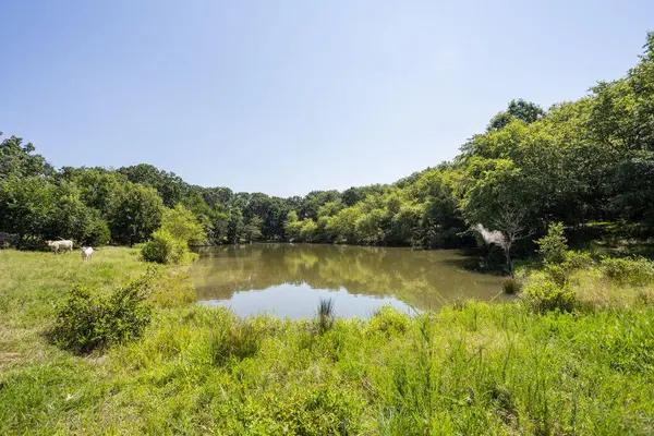 525 E Hwy C, Jerico Springs, MO 64756