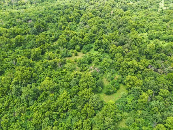 Address not disclosed, Lockwood, MO 65682