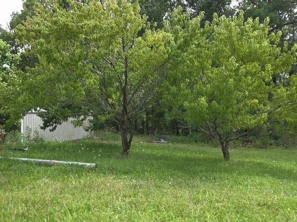 1306 State Highway 32, Long Lane, MO 65590
