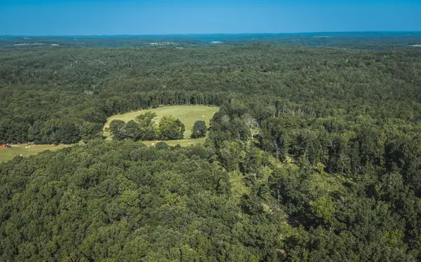 Tract 2 Private DR #2336, Norwood, MO 65717