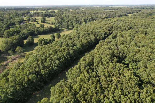 6731 Raccoon RD, Granby, MO 64844