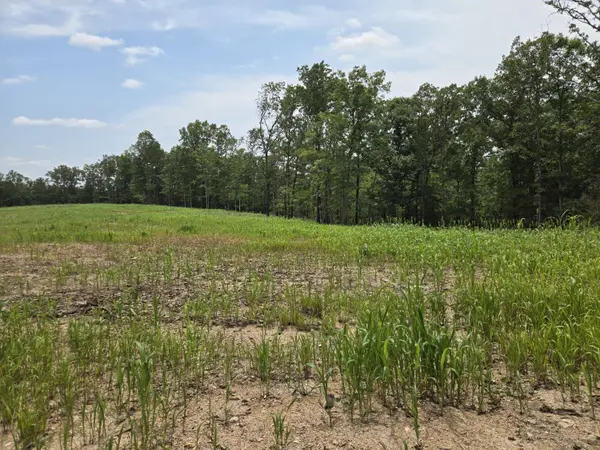 000 76-126, Norwood, MO 65717