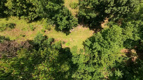 Tract 4 Upper Janes Creek RD, Ravenden, AR 72459