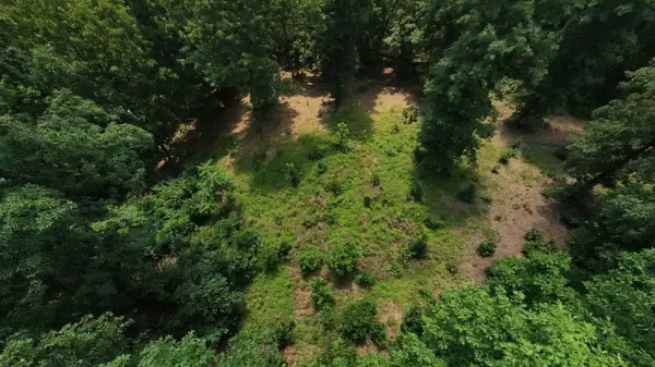 Tract 4 Upper Janes Creek RD, Ravenden, AR 72459