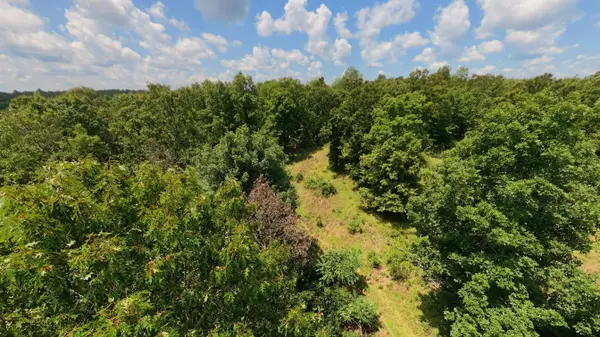 Tract 4 Upper Janes Creek RD, Ravenden, AR 72459