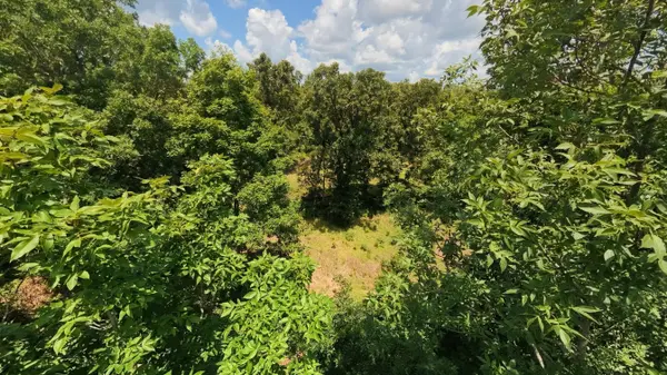 Tract 4 Upper Janes Creek RD, Ravenden, AR 72459