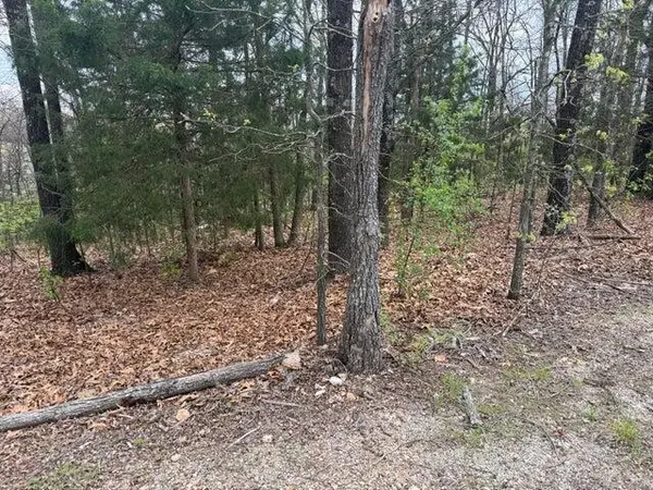 000 Entry RD #Lot 11-12, Ridgedale, MO 65739