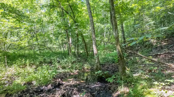 Tract 3 Upper Janes Creek RD, Ravenden, AR 72459