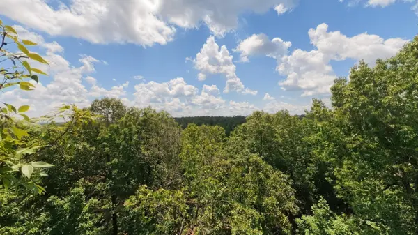 Tract 5 Upper Janes Creek RD, Ravenden, AR 72459