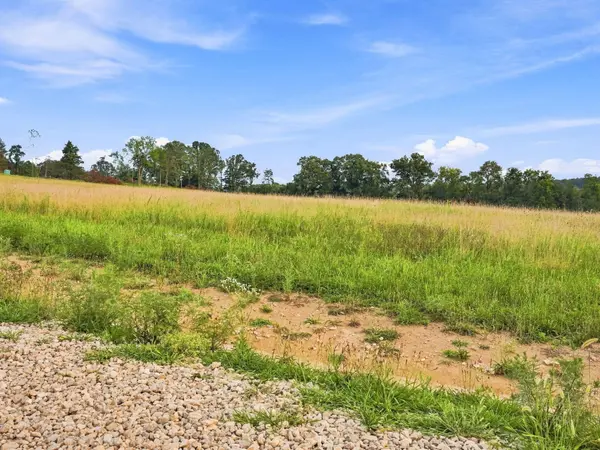 Lot 10 Arden Ridge Phase 1, Ava, MO 65608