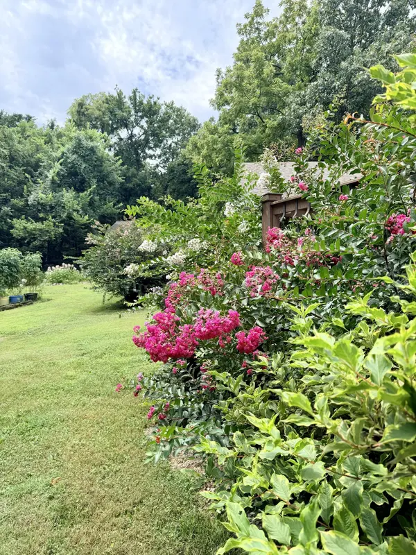 34 E Dade 86, Greenfield, MO 65661