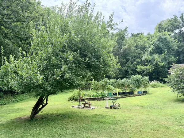 34 E Dade 86, Greenfield, MO 65661