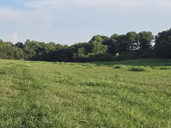 000 County Road 931, Thornfield, MO 65762