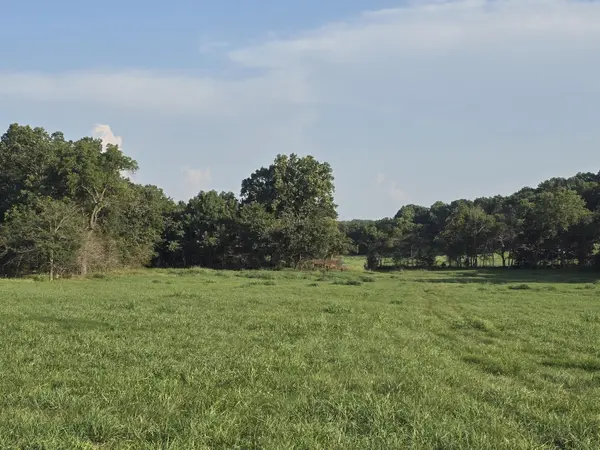000 County Road 931, Thornfield, MO 65762