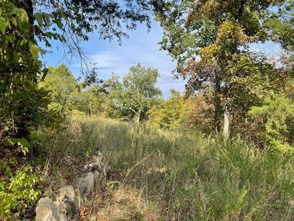 000 Lakeview DR, Hollister, MO 65672
