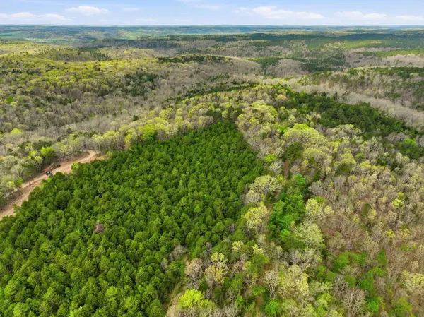 Tract3 W Highway 32, Licking, MO 65542