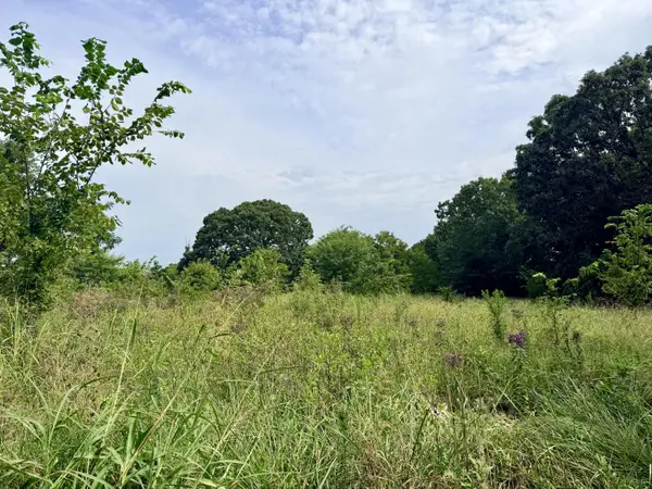 178 State Highway 39, Greenfield, MO 65661