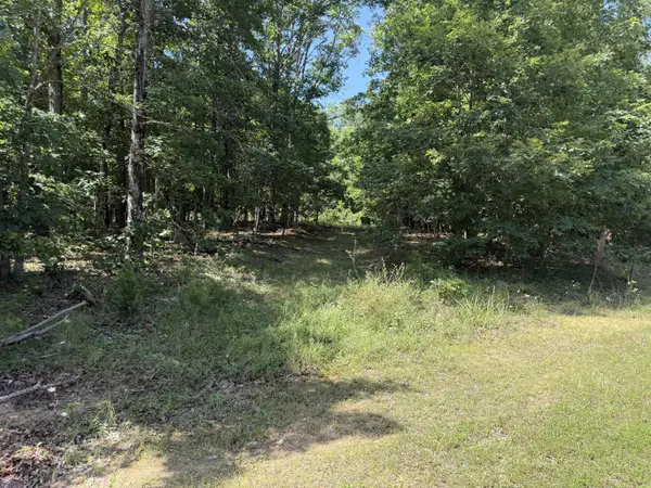 000 Golden TRL #Lot 79, Raymondville, MO 65555