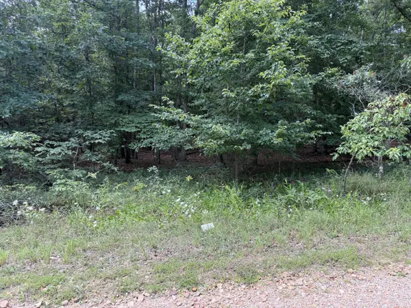000 Golden TRL #Lot 79, Raymondville, MO 65555