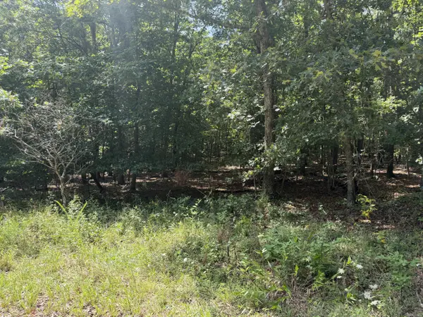000 Golden TRL #Lot 79, Raymondville, MO 65555