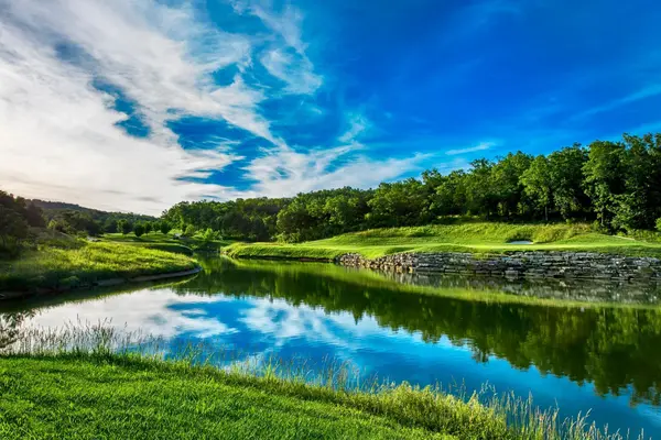 Tbd Olympic DR, Branson, MO 65616