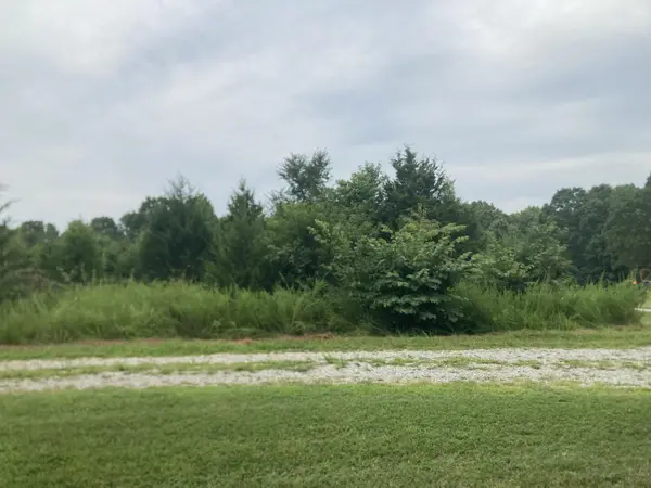 000 Reid DR, Theodosia, MO 65761
