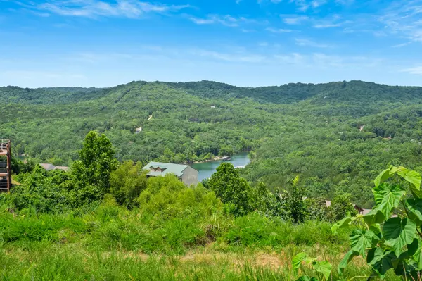 Tbd Songbird CIR #Lot 4, Indian Point, MO 65616