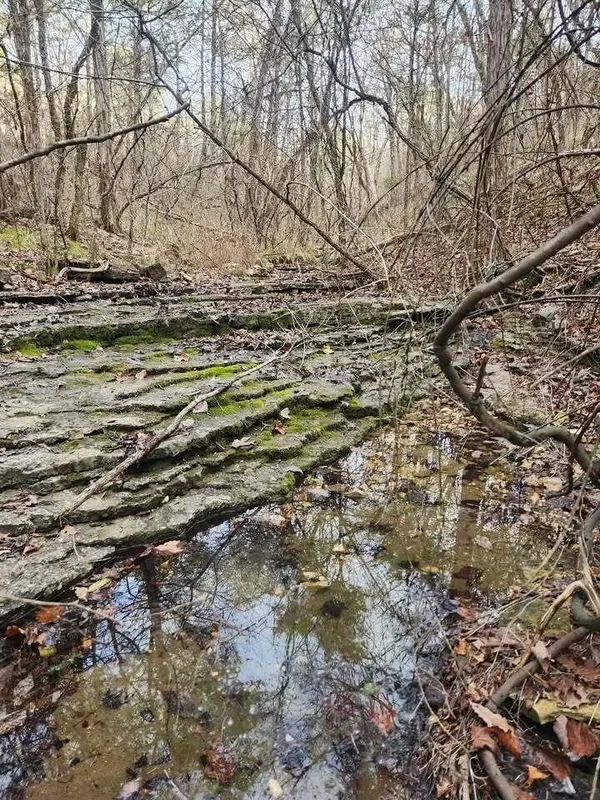 000 Persinger RD, Cedarcreek, MO 65627
